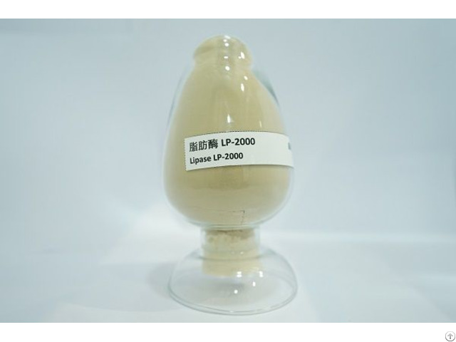 Lipase Lp 2000