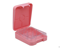 Kids School Sections Lunch Box