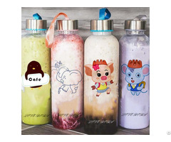 16oz Glass Water Bottle