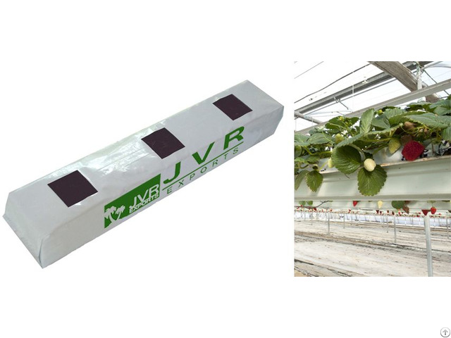 Coconut Peat Grow Bags Viet Nam Coconut Peat Grow Bags Viet Nam