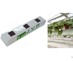 Coconut Peat Grow Bags Viet Nam