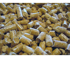 Coco Peat Pellet Viet Delta