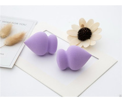 Five Beauty Product Sponge