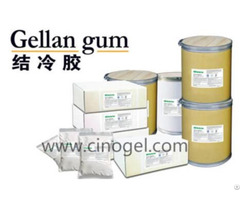 Gellan Gum E418 Cinogel Biotech