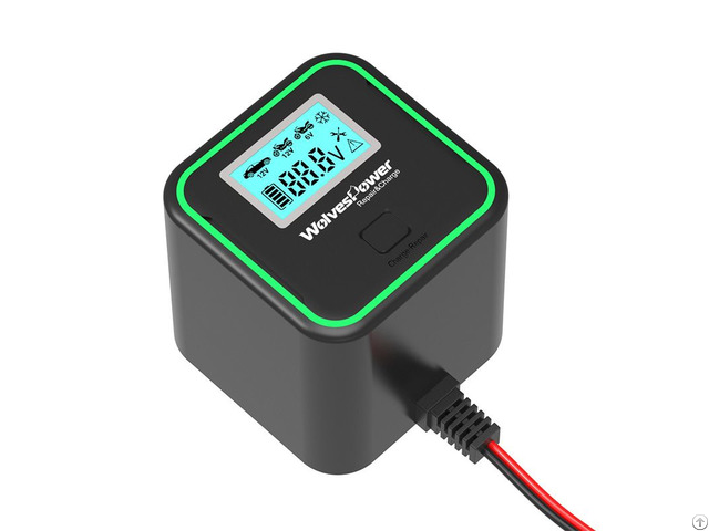 Wolvespower Car Repair Charger