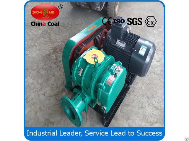 China Coal Roots Blower