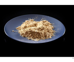 Food Grade Soya Lecithin Powder Supplier