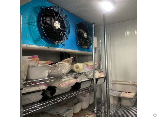 Meat Cold Room