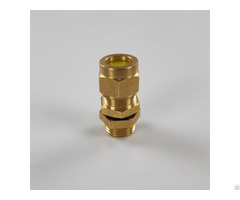 Ex Standard Brass Cable Gland