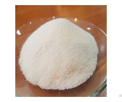 Sweeten Condensed Milk Powder