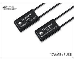 17ame Thermal Protector With Fuse Combination