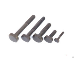 T Head Bolts