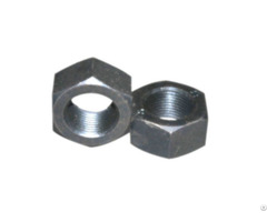 Plain Hex Nut