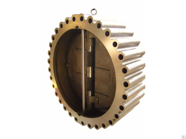 Wafer Check Valve China