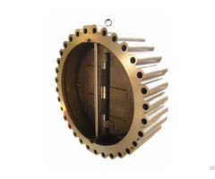 Wafer Check Valve China
