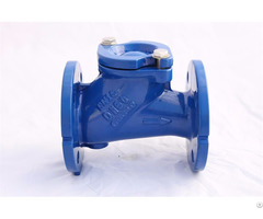 Cast Iron Check Valve China