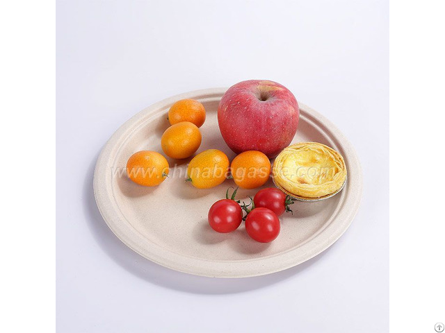 Composable Bagasse 10 Inch Plate