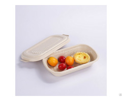 Eco Friendly 750ml Disposable Bagasse Container