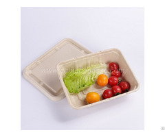 Sugarcane 1500ml Rectangle Container