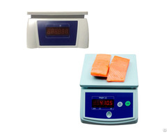 Waterproof Scale