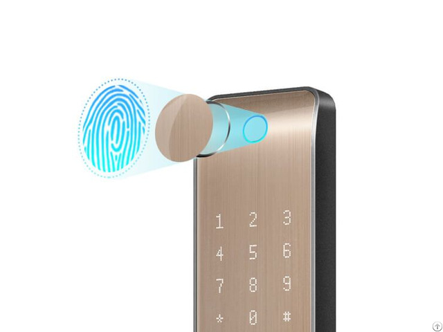 Fingerprint Entrance Lock