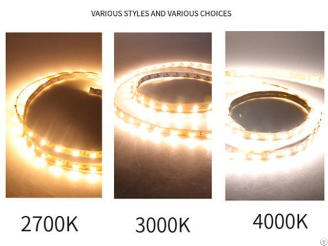 Led High Brightness And 5050 Bare Board Low Voltage Light Strip Wholesale