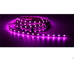 China High Quality Wedding Bar Ktv Decoration 5050led Pink Light Strip Wholesale