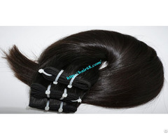 Vietnam Hair Single Straight