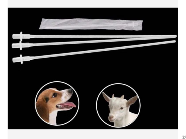 Insemination Catheter For Dog Canine