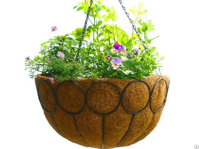 Coir Hanging Basket