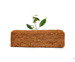 Coir Pith Coco Block