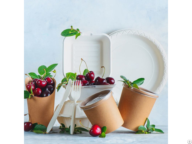 Disposable Paper Plates