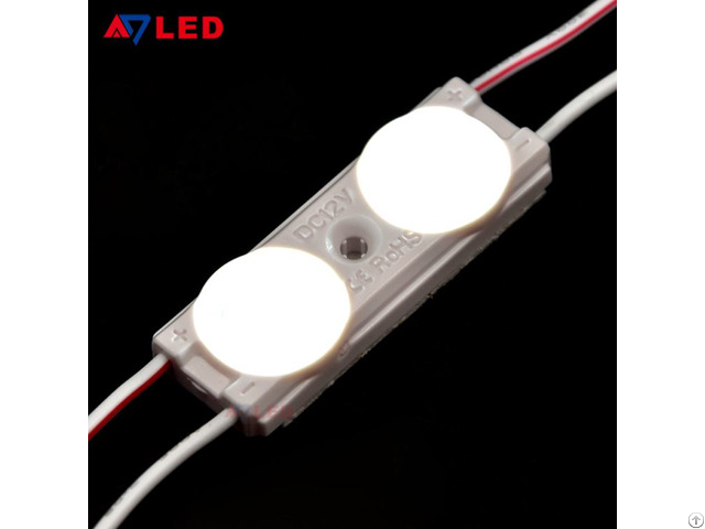 High Brightness 2leds Module