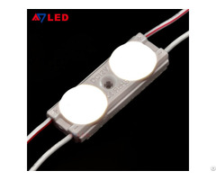 High Brightness 2leds Module