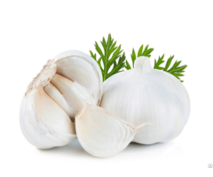 Leading Garlic Supplier In China