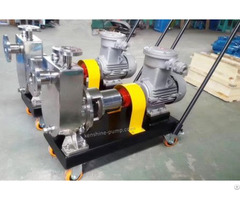 Jzm Fmz Stainless Steel Self Priming Pump