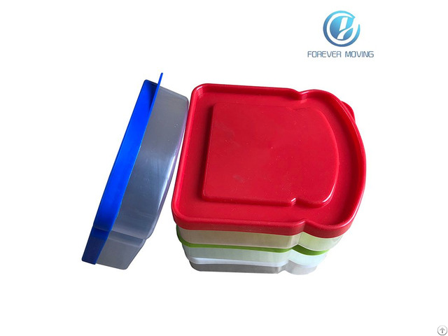 Plastic Sandwich Container With Colorful Lids