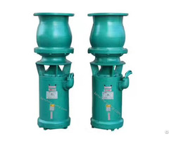 Qszqsh Submersible Axial Mixed Flow Pump