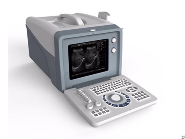 Ultrasound Scanner Bw 3