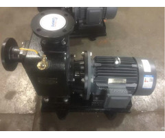 Zwl Self Priming Sewage Pump Closed Coupling