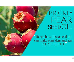 Organic Prickly Pear Seed Oil