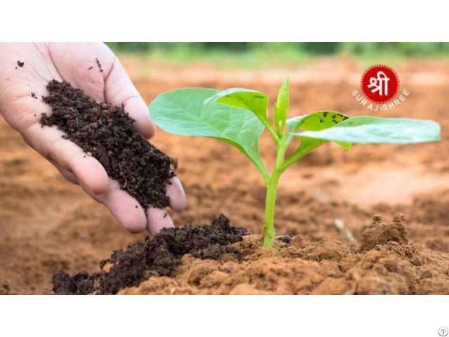 Suraj Shree Chemicals Ltd Bio Fertilizer Manufacturer