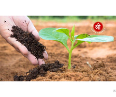 Suraj Shree Chemicals Ltd Bio Fertilizer Manufacturer