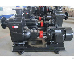 Zw Horizontal Self Priming Sewage Pump