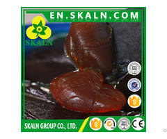 Skaln 3# Extreme Pressure Lithium Based Grease