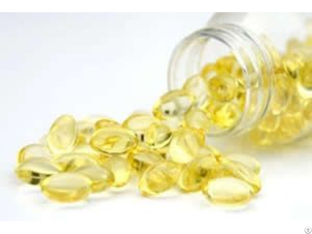 Micro Algae Dha Fatty Acids List