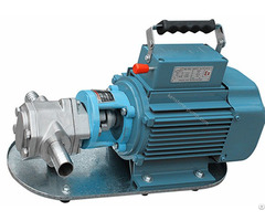 Wcb Stainless Steel Gear Pump