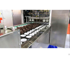 Automated Paper Cup Denester For Muffins And Cupcakes Yufeng