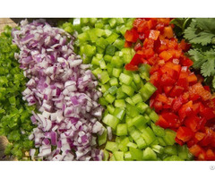 How To Use The Multifunctional Vegetable Dicing Machine