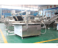 Which Kind Of Egg Roll Machine Is The Best